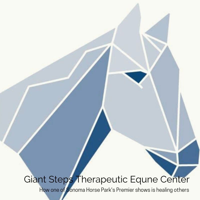 Beyond Adaptive Riding: The Benefits of Equine Facilitated Learning