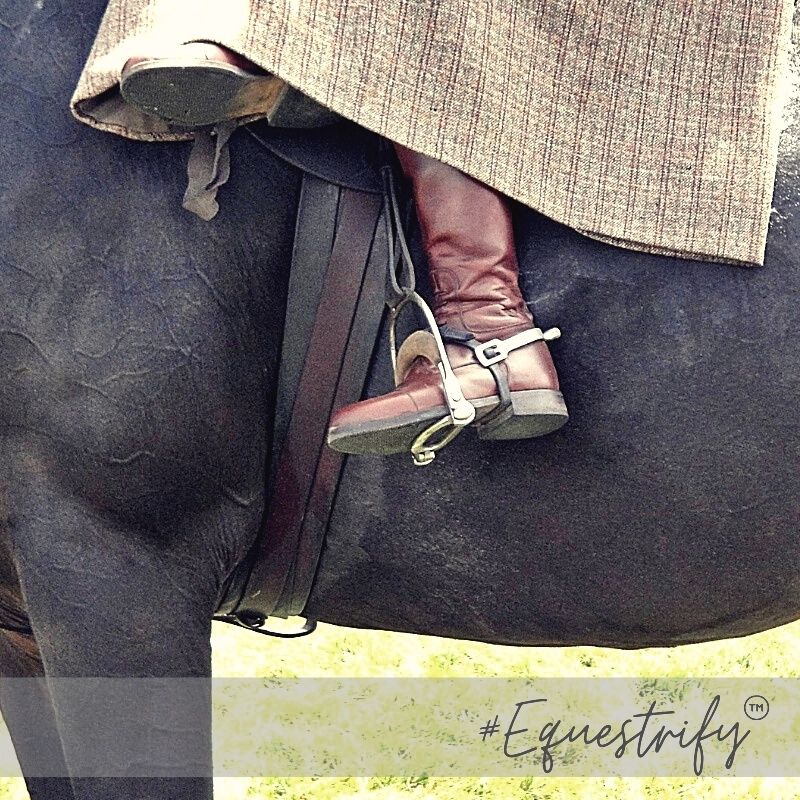Equestrify™